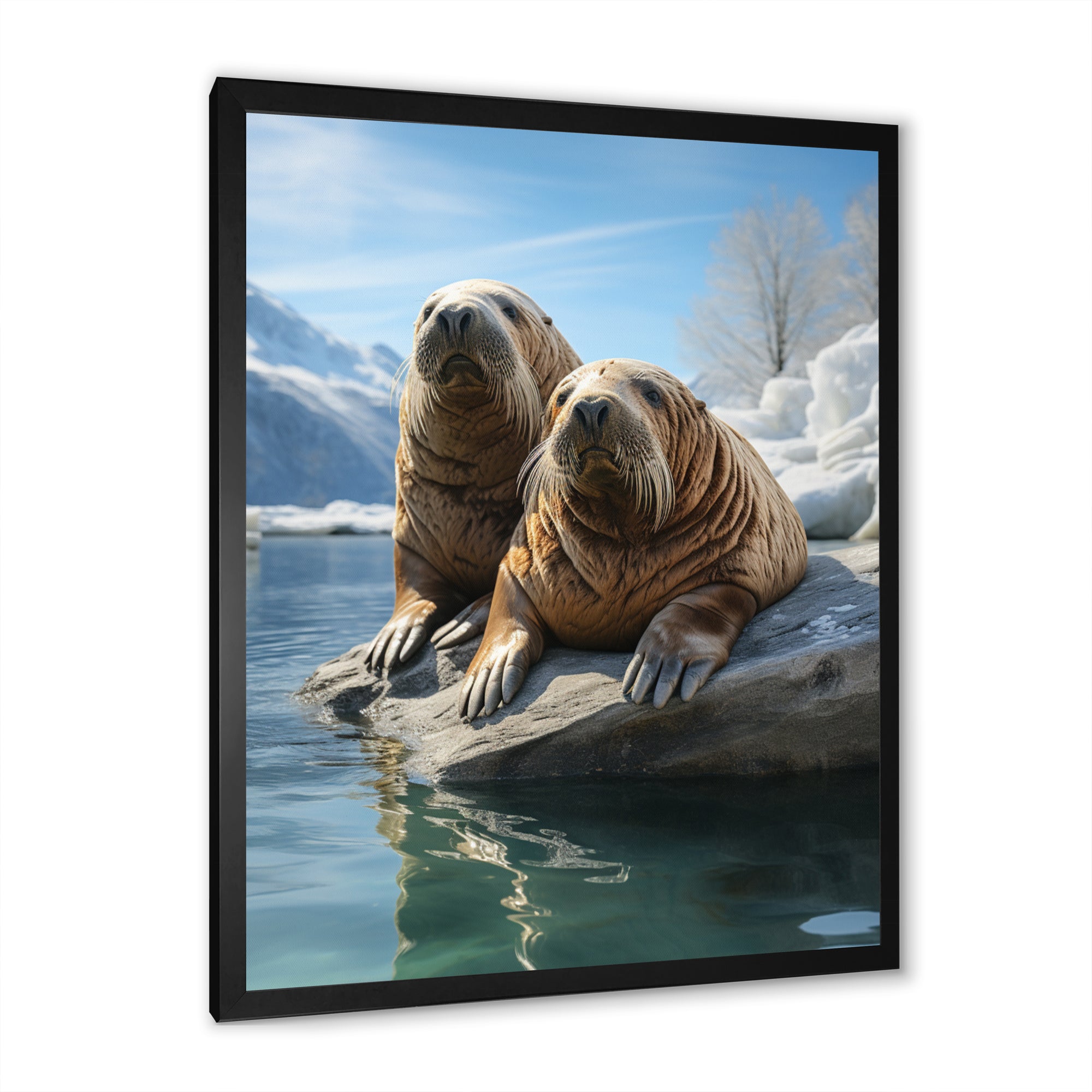 Walrus Majestic Guardians - Walrus Wall Art Prints