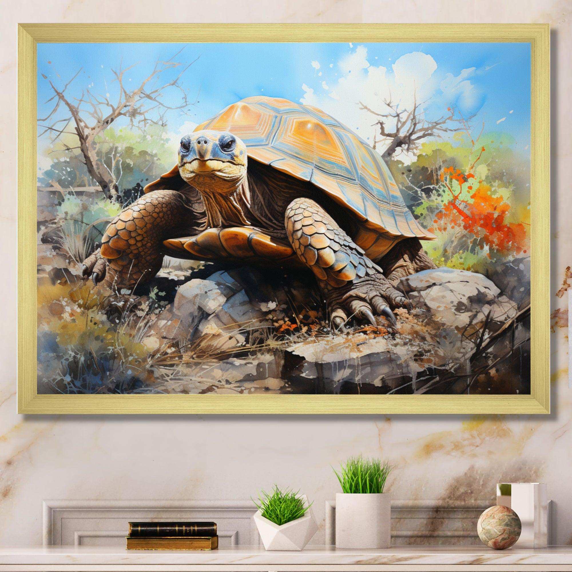 Turtle On Land I - Animals Canvas Wall Art