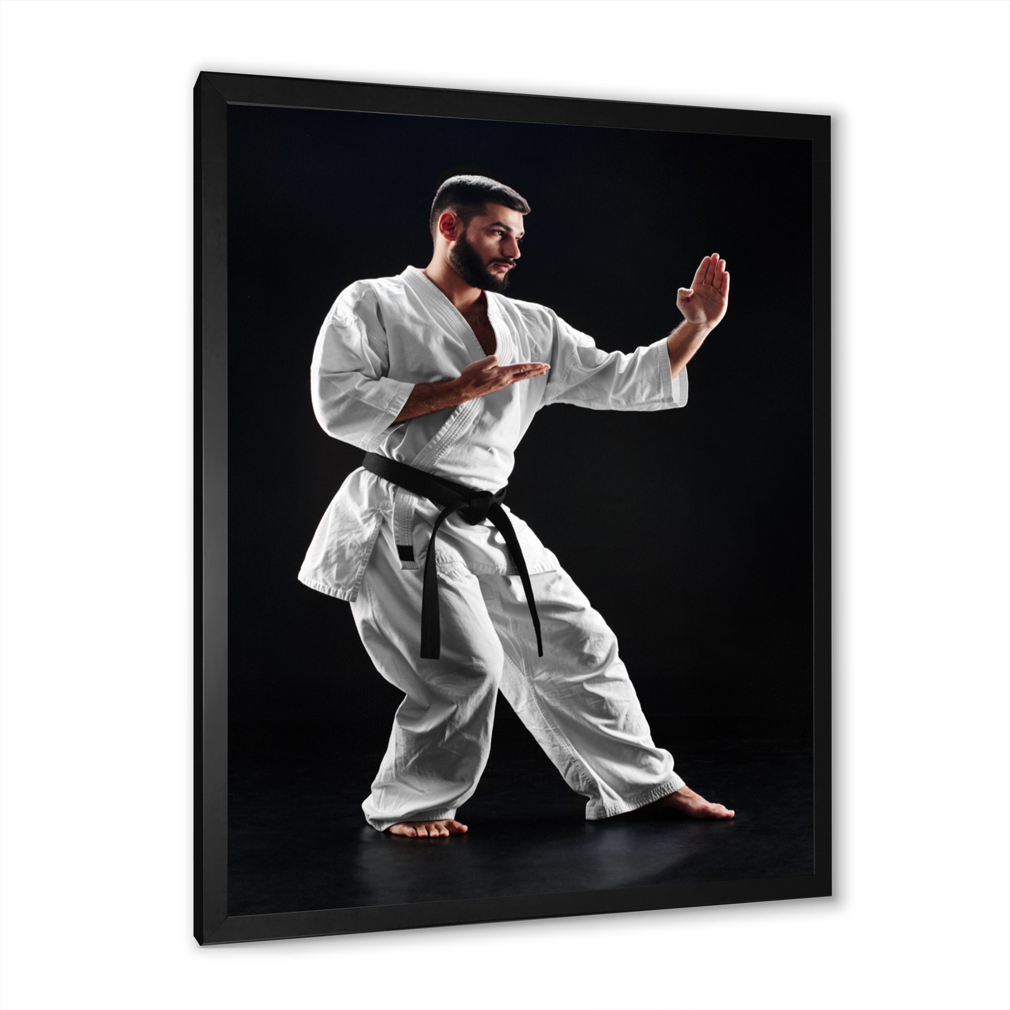 Martial Arts Combat Warrior I - Martial Arts Canvas Wall Art