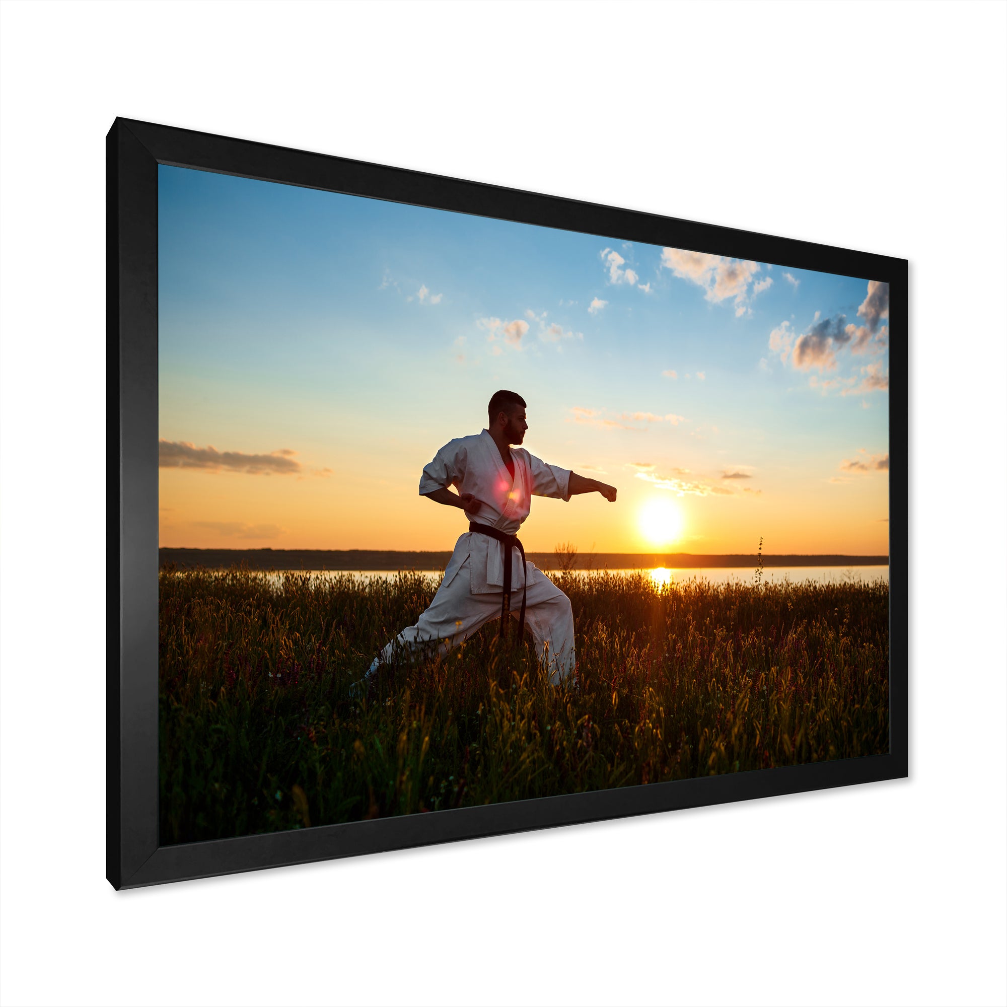 Man Training Karate In Field At Sunrise - Aerobic & Bodybuilding Canvas Wall Art
