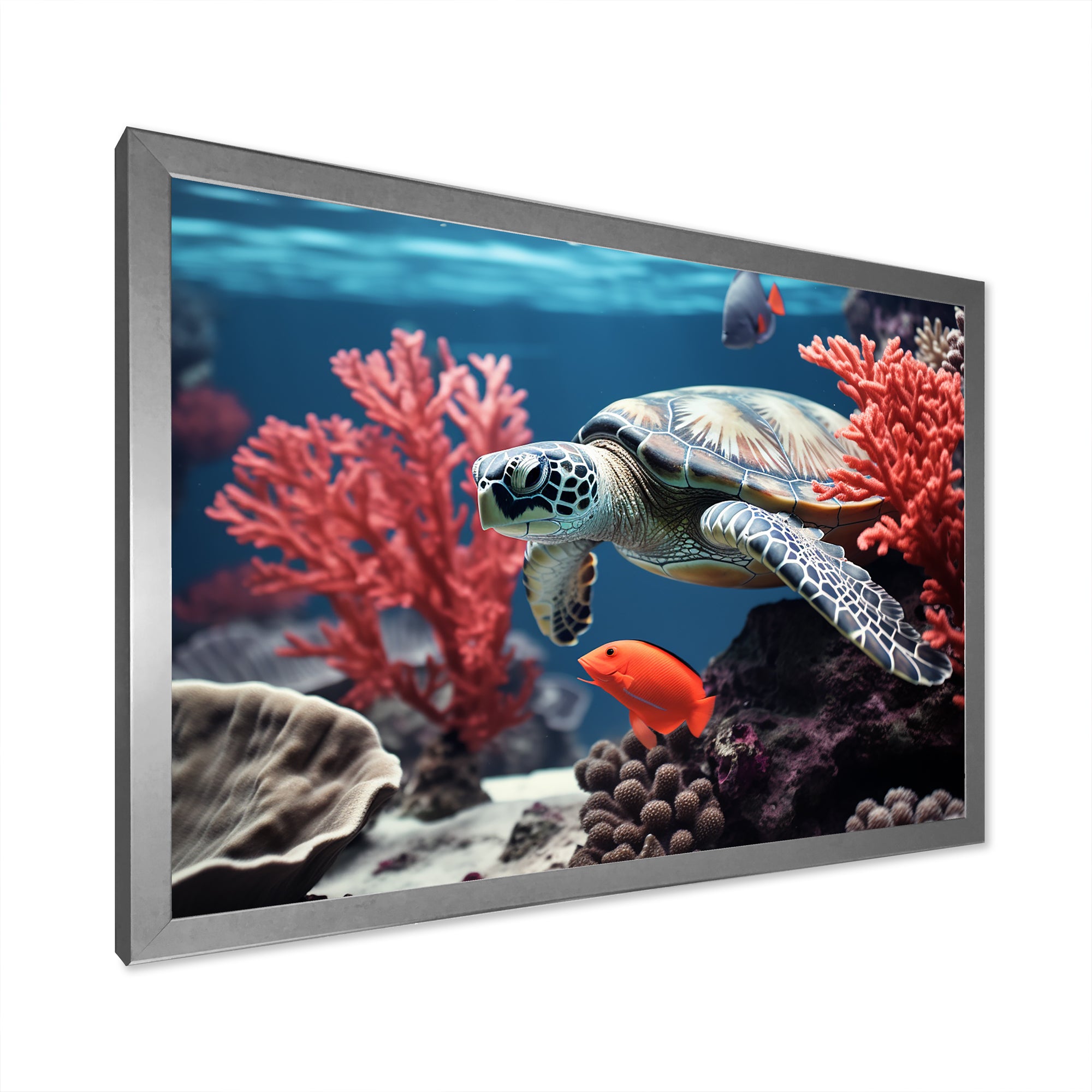 Monochrome Coral And Grey Turtle Paddle - Turtle Canvas Wall Art