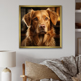 Dog Golden Grace - Brown Dog Wall Art