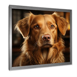 Dog Golden Grace - Brown Dog Wall Art