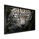 Jungle Leopard Stalk - Leopard Framed Canvas Art