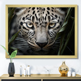 Jungle Leopard Stalk - Leopard Framed Canvas Art