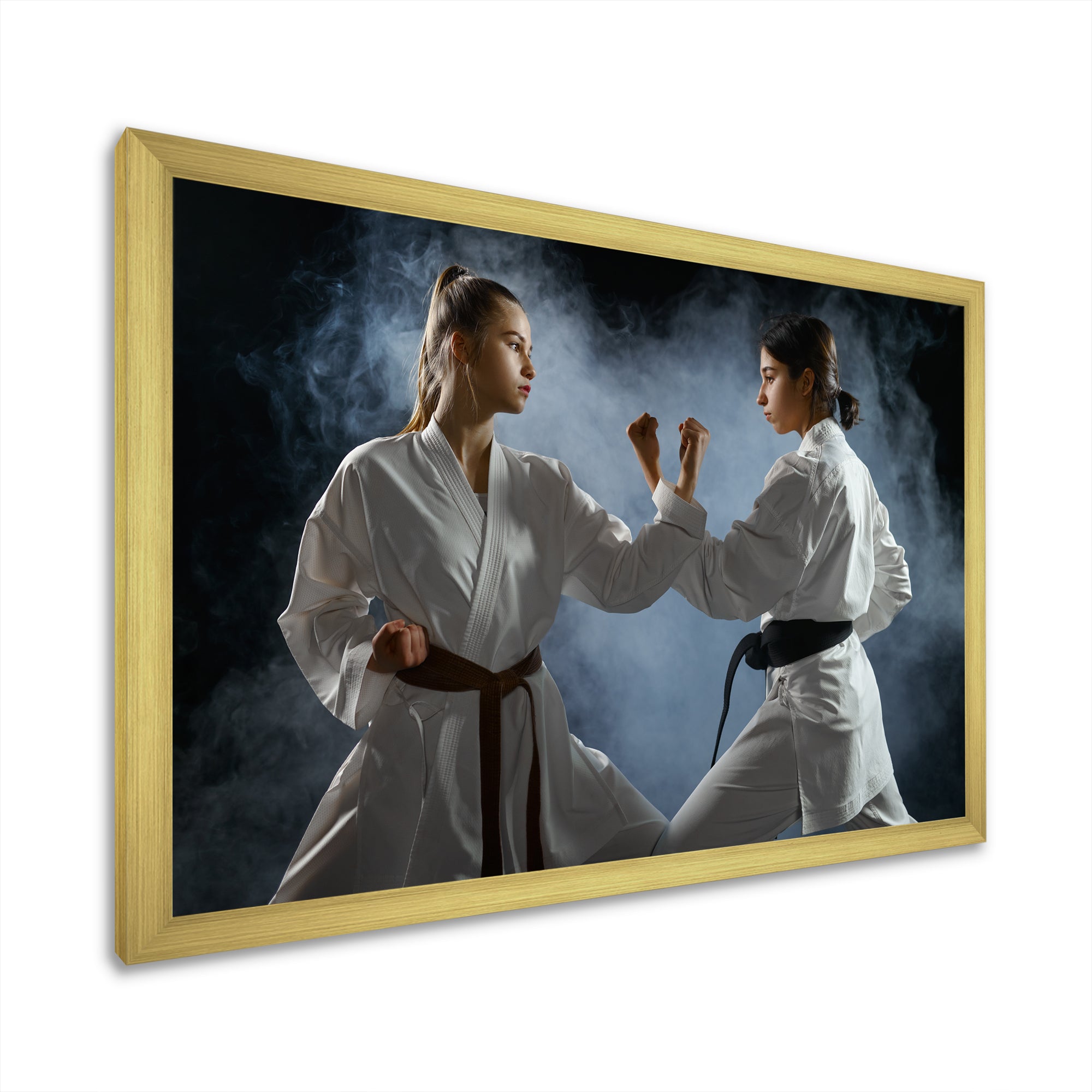 Women Martial Arts Fight Training Studio - Martial Arts Canvas Wall Art