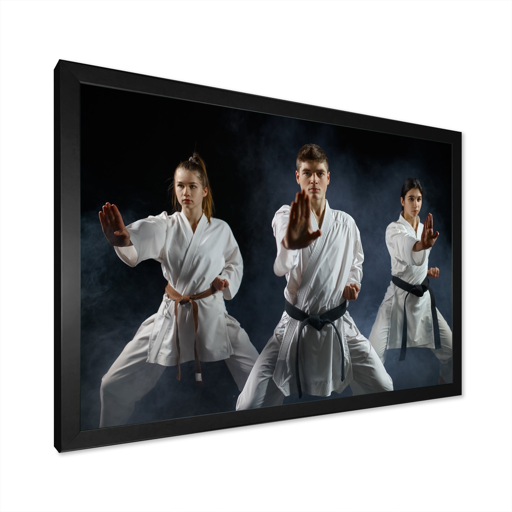 Martial Arts Fight Training Studio - Martial Arts Canvas Wall Art