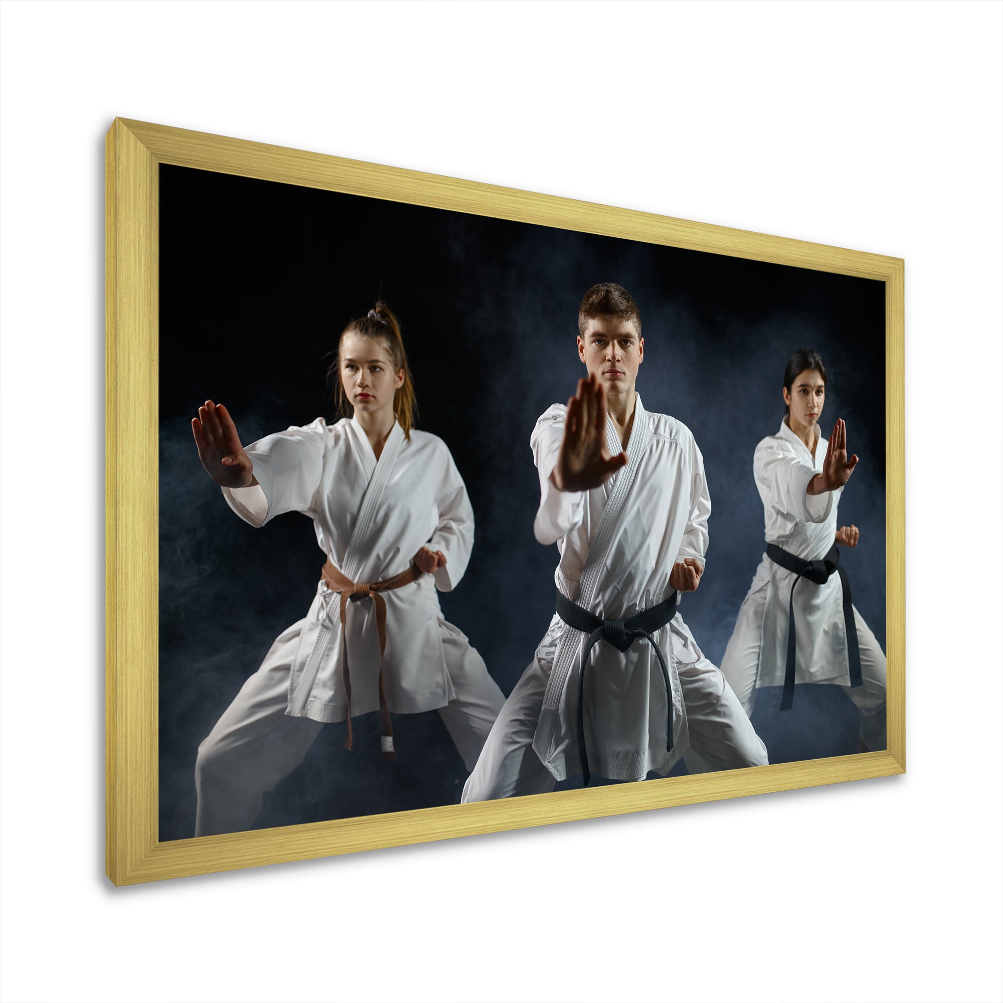 Martial Arts Fight Training Studio - Martial Arts Canvas Wall Art