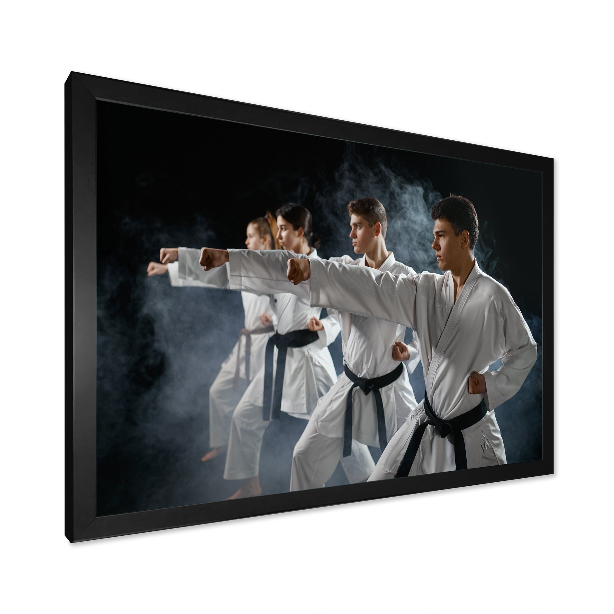 Martial Arts Fight Training Studio I - Martial Arts Canvas Wall Art