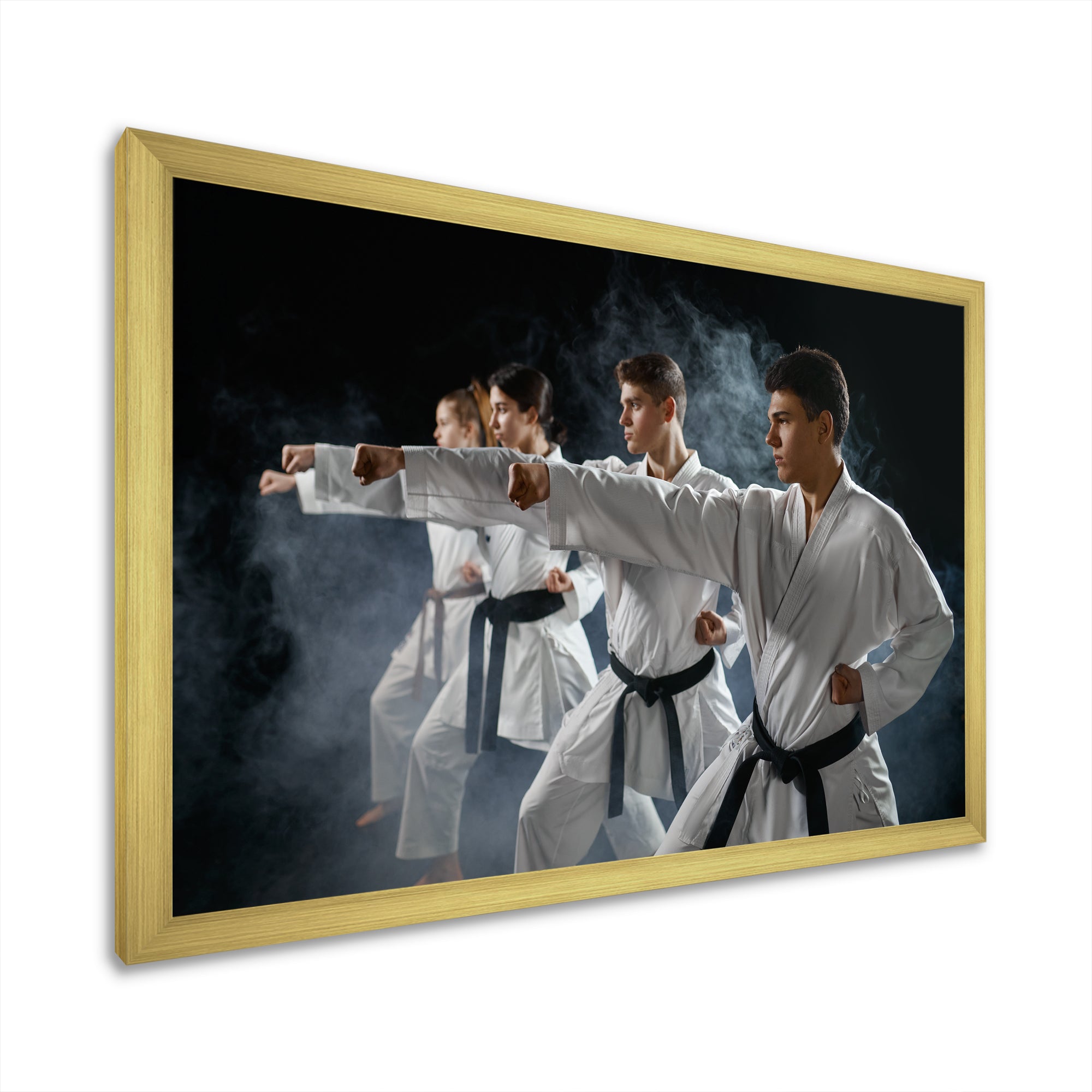 Martial Arts Fight Training Studio I - Martial Arts Canvas Wall Art