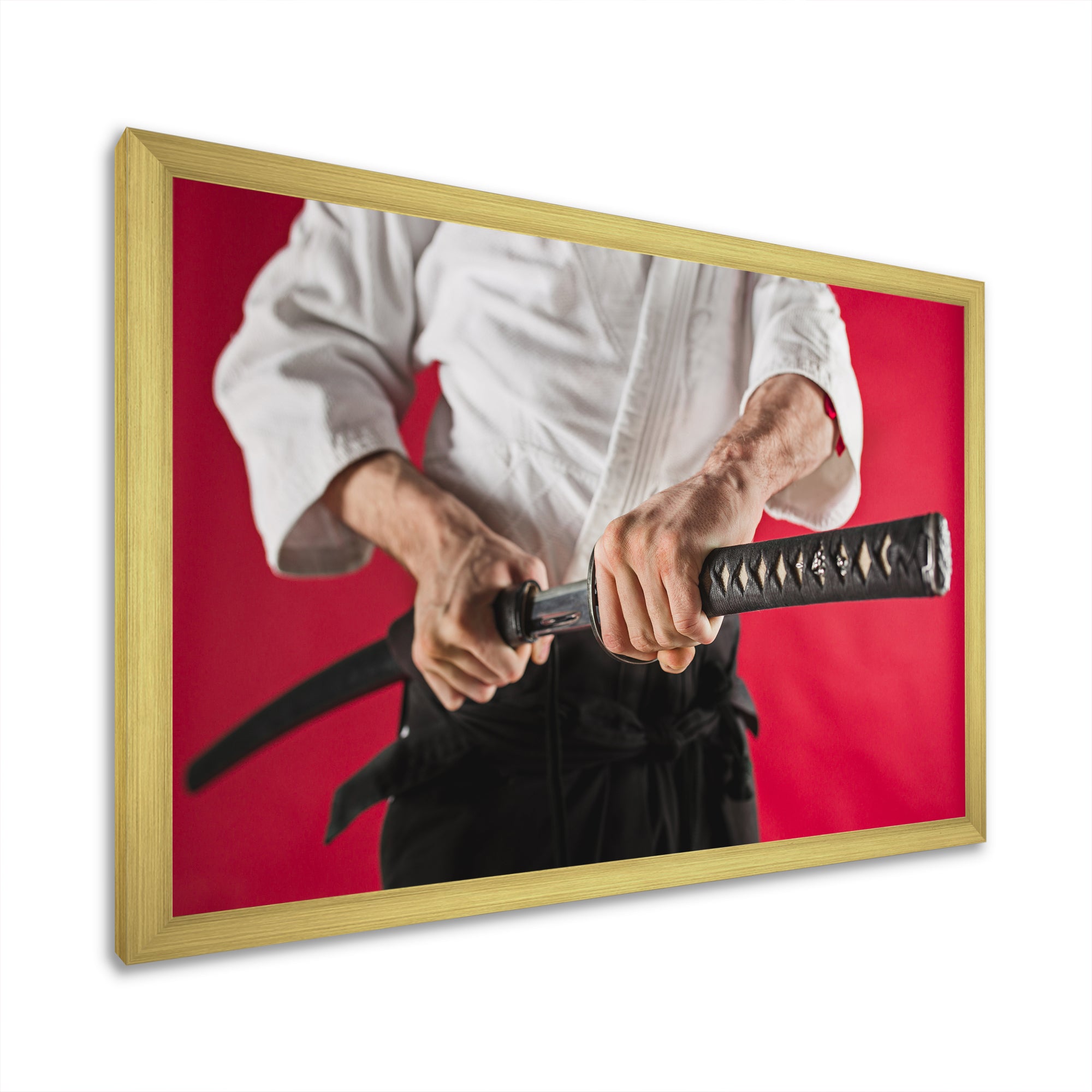 Man Training Aikido Martial Arts Studio - Martial Arts Canvas Wall Art