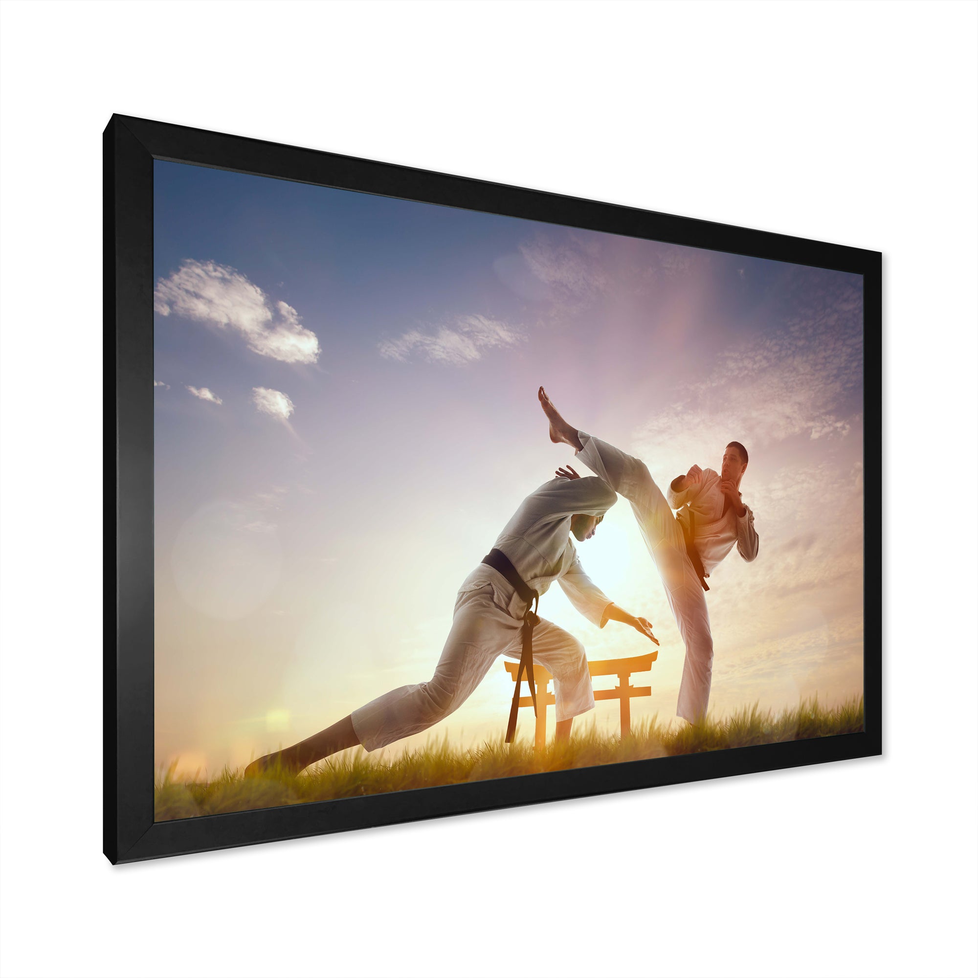 Martial Arts Karate Fighters Outdoors - Martial Arts Canvas Wall Art