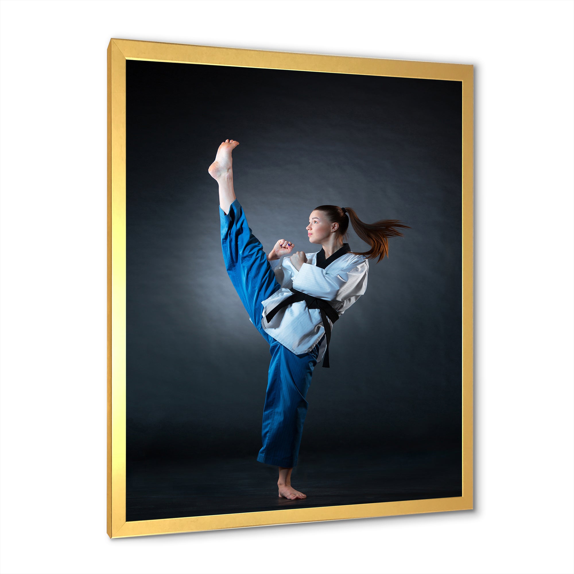 Karate Kick Black Belt - Martial Arts Canvas Wall Art