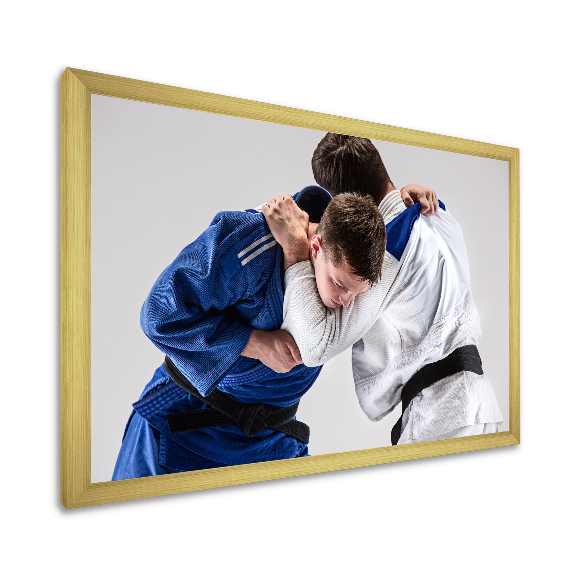 Fighting Judokas Martial Arts - Martial Arts Canvas Wall Art