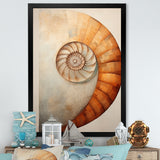 Copper Curves Nautilus Spiral - Nautilus Wall Decor