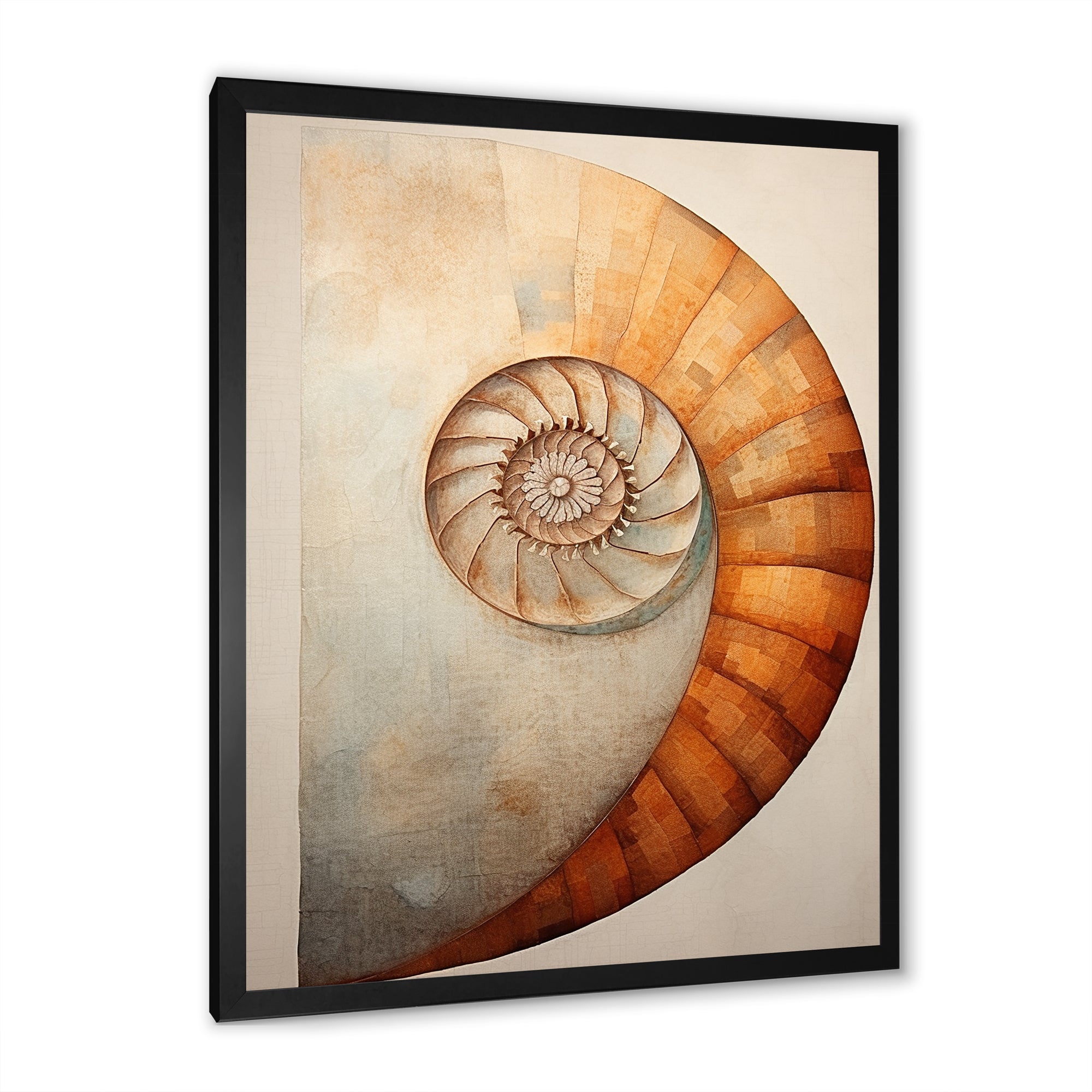 Copper Curves Nautilus Spiral - Nautilus Wall Decor