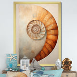Copper Curves Nautilus Spiral - Nautilus Wall Decor