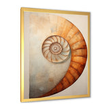 Copper Curves Nautilus Spiral - Nautilus Wall Decor