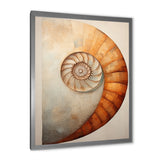 Copper Curves Nautilus Spiral - Nautilus Wall Decor