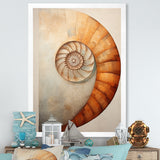 Copper Curves Nautilus Spiral - Nautilus Wall Decor