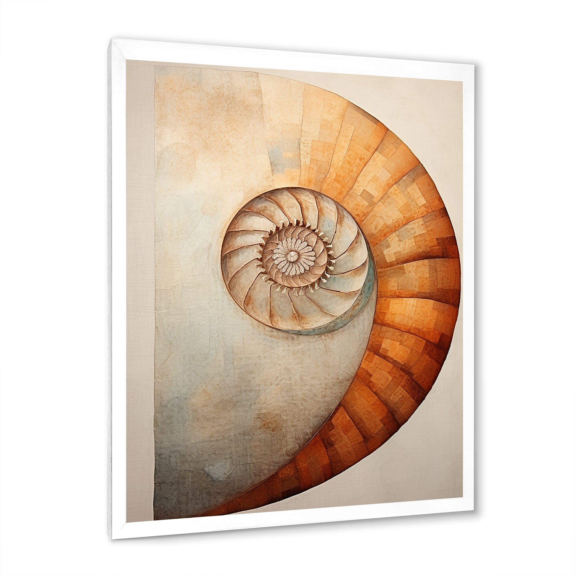 Copper Curves Nautilus Spiral - Nautilus Wall Decor