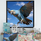 Parrots Wings Of Beauty - Parrot Framed Canvas Art