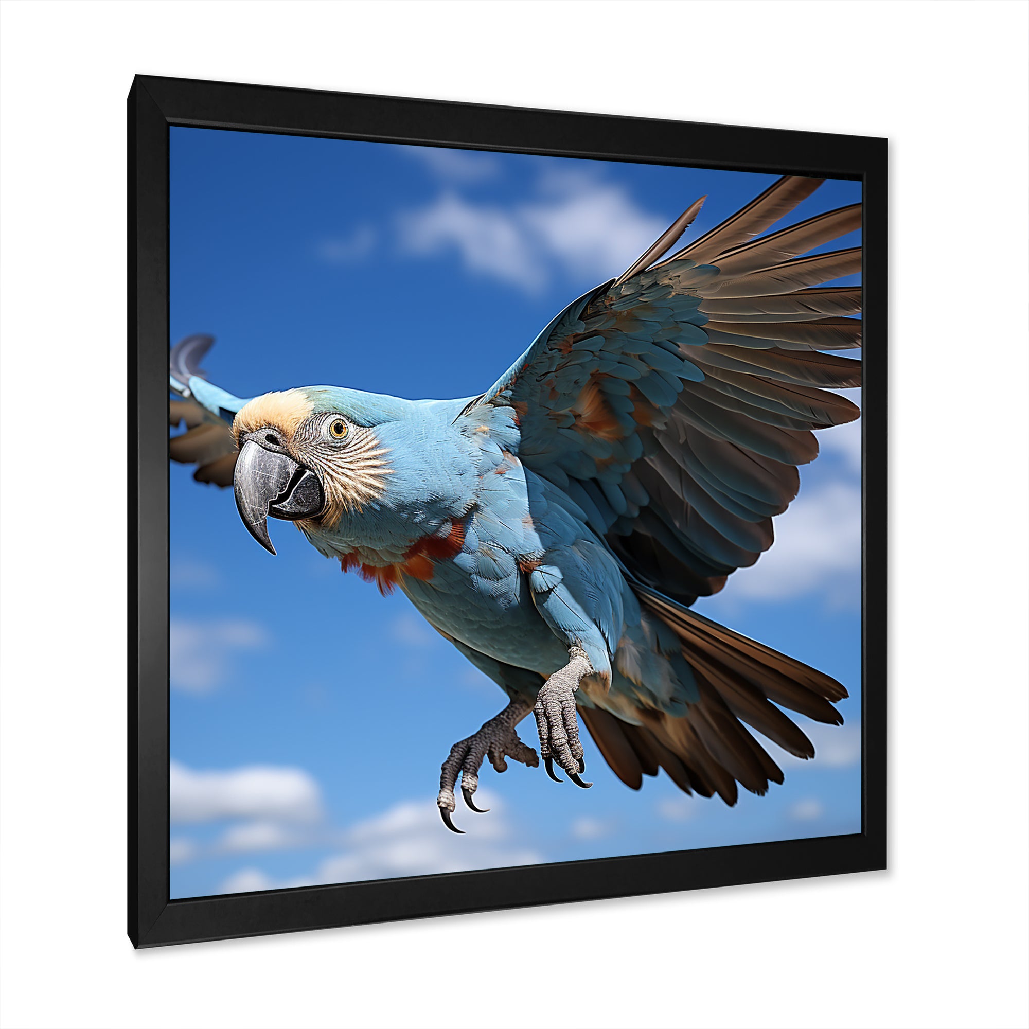 Parrots Wings Of Beauty - Parrot Framed Canvas Art