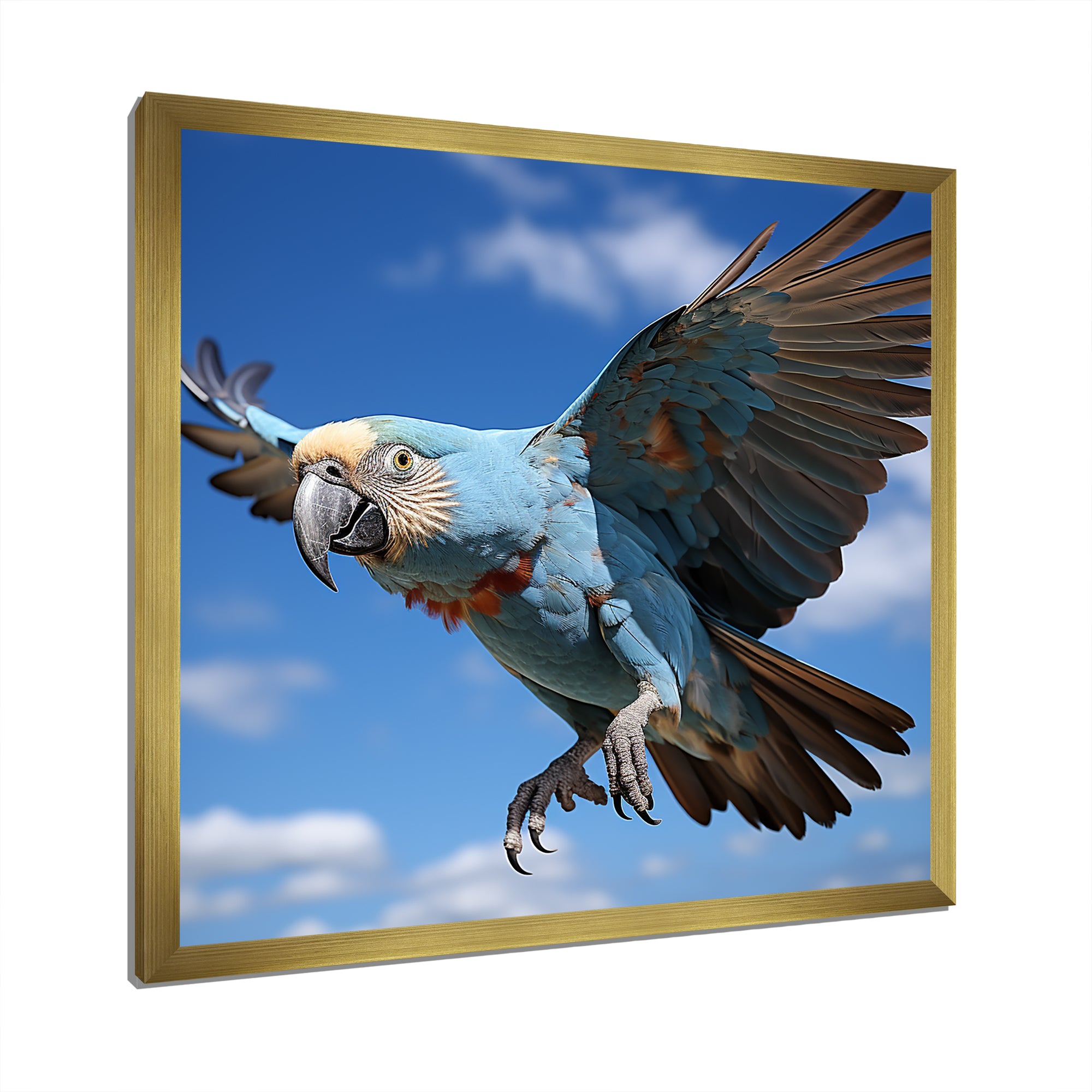 Parrots Wings Of Beauty - Parrot Framed Canvas Art
