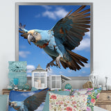 Parrots Wings Of Beauty - Parrot Framed Canvas Art