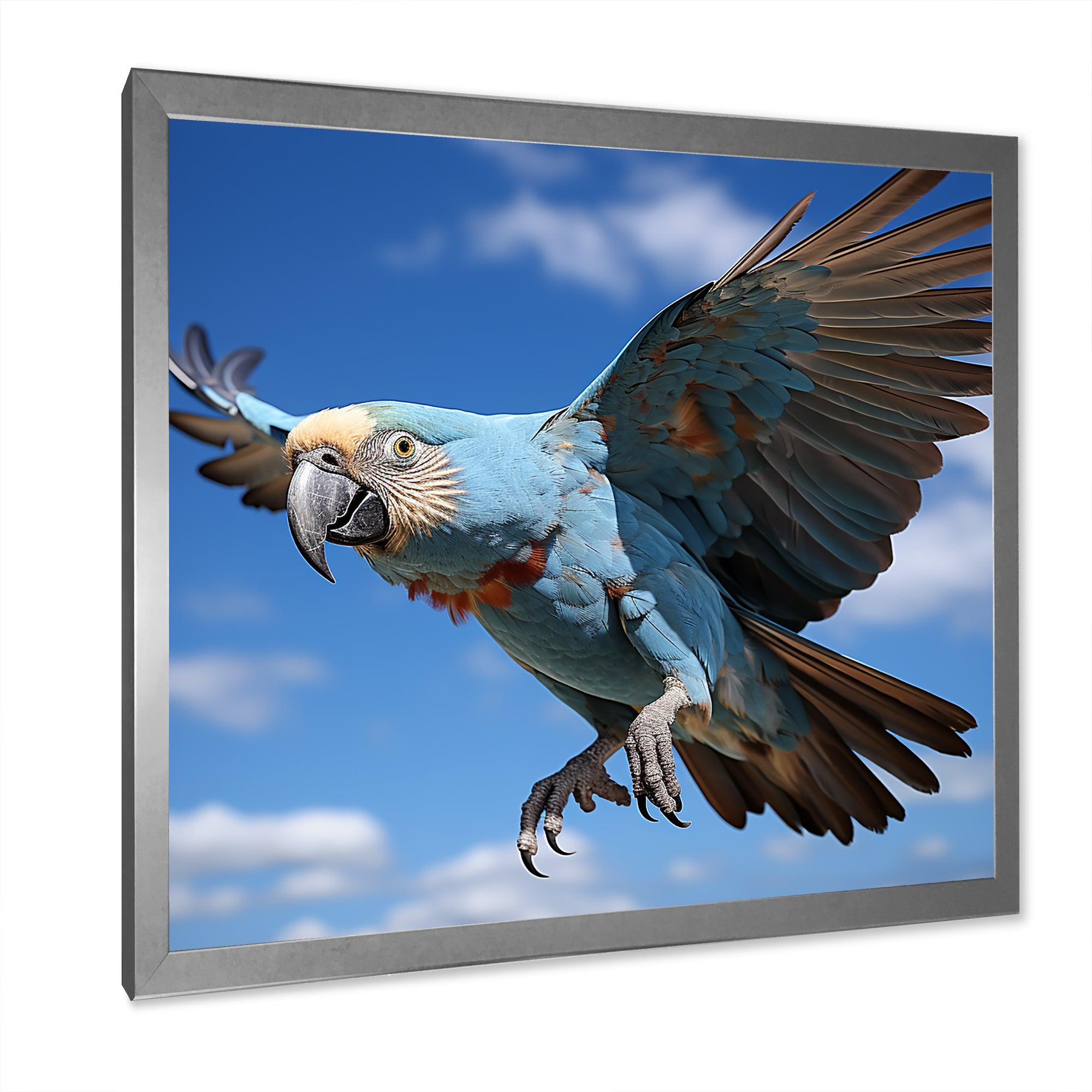 Parrots Wings Of Beauty - Parrot Framed Canvas Art
