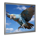 Parrots Wings Of Beauty - Parrot Framed Canvas Art