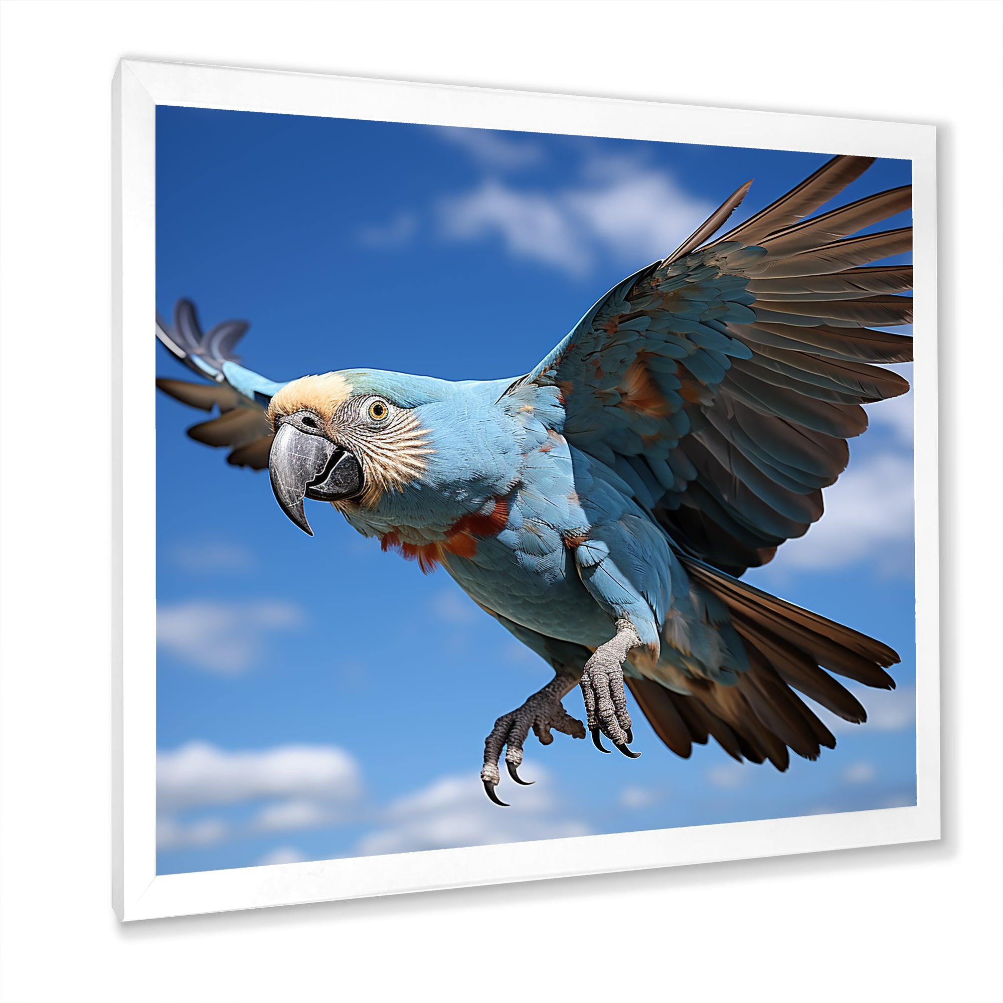 Parrots Wings Of Beauty - Parrot Framed Canvas Art