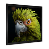 Green Eternal Feathered Vibrance - Parrot Framed Canvas Art