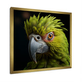 Green Eternal Feathered Vibrance - Parrot Framed Canvas Art