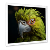 Green Eternal Feathered Vibrance - Parrot Framed Canvas Art