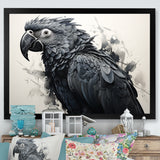 Grey Parrot Feathered Elegance - Gray Parrot Wall Art