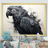 Grey Parrot Feathered Elegance - Gray Parrot Wall Art