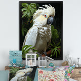 Cockatoo S Tropical Haven - Parrot Wall Decor
