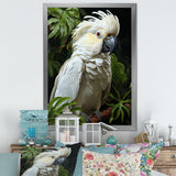 Cockatoo S Tropical Haven - Parrot Wall Decor