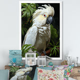 Cockatoo S Tropical Haven - Parrot Wall Decor