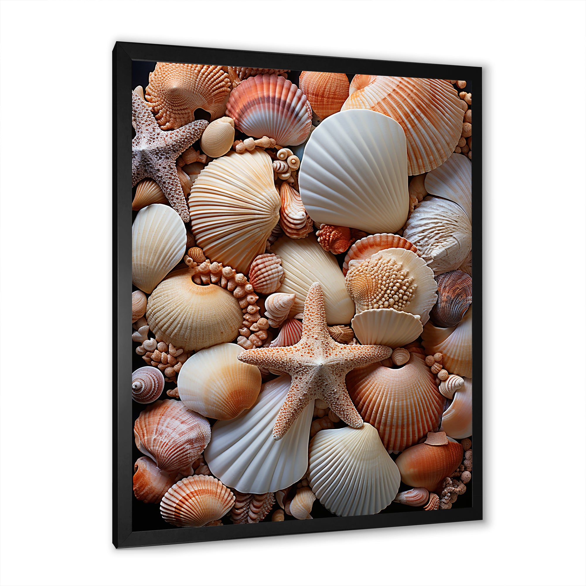Classic Seashells By The Sea - Seashell Large Canvas Wall Art