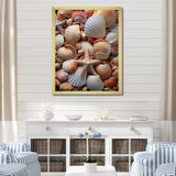 Classic Seashells By The Sea - Seashell Large Canvas Wall Art
