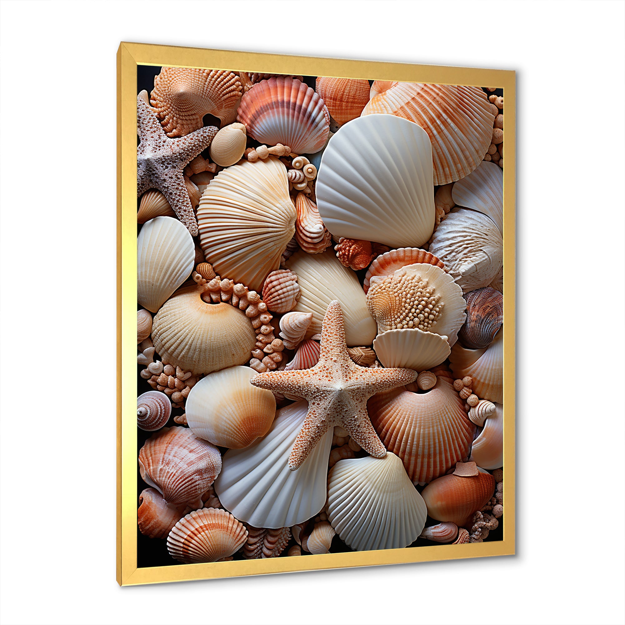 Classic Seashells By The Sea - Seashell Large Canvas Wall Art