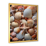 Classic Seashells By The Sea - Seashell Large Canvas Wall Art