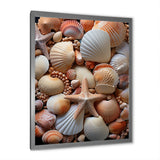 Classic Seashells By The Sea - Seashell Large Canvas Wall Art