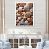 Classic Seashells By The Sea - Seashell Large Canvas Wall Art