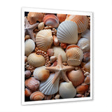 Classic Seashells By The Sea - Seashell Large Canvas Wall Art