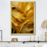 Golden Feather Grin - Feathers Wall Decor
