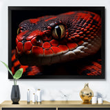 Serpents Stare - Snake Wall Art Prints