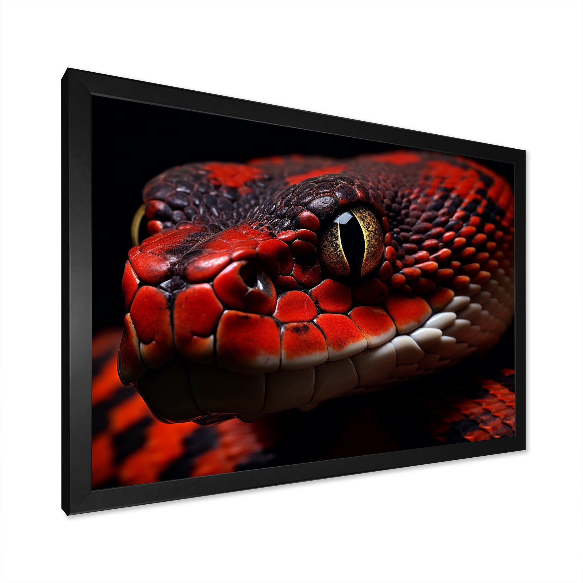 Serpents Stare - Snake Wall Art Prints
